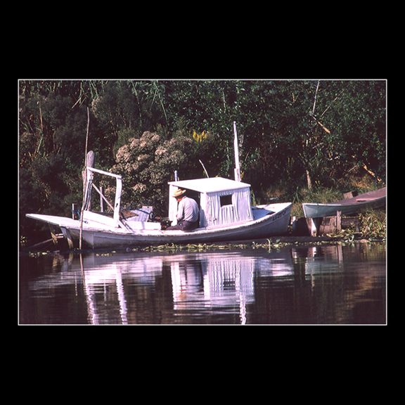 Pix No. 20012