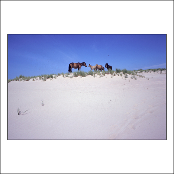 Pix No. 20041