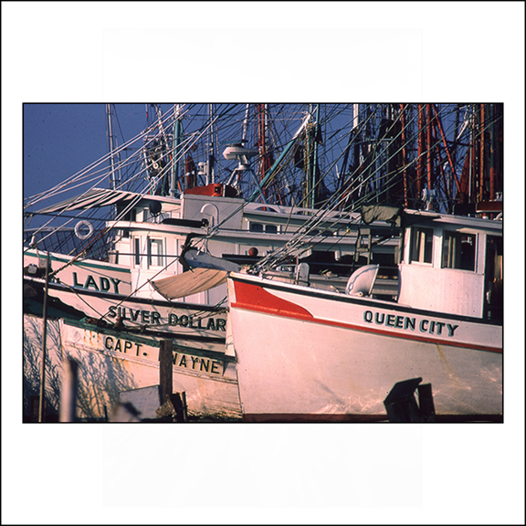 Pix No. 20114