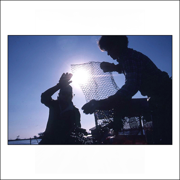 Pix No. 20248