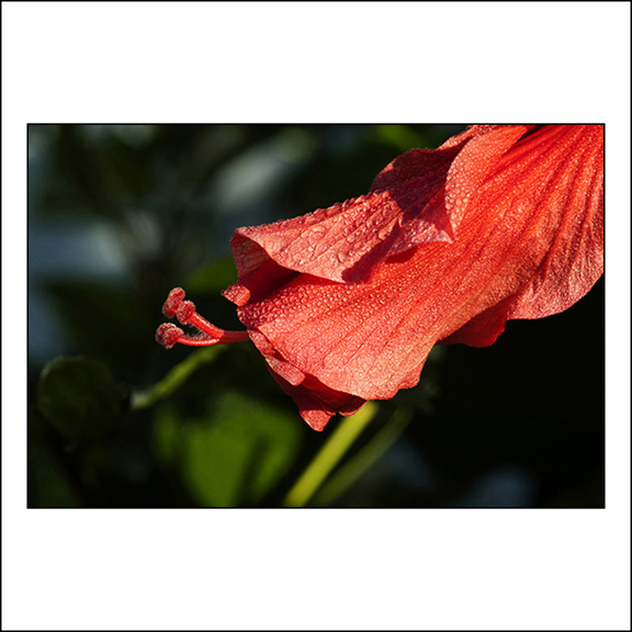 Pix No. 30159