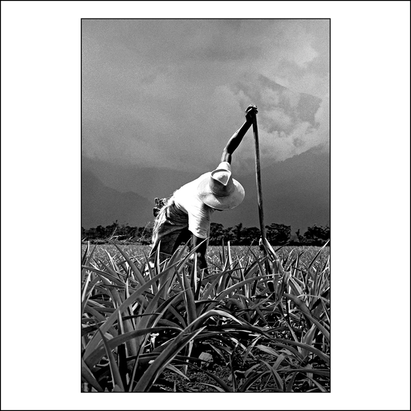 image 0037