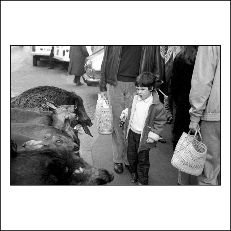 image 0272