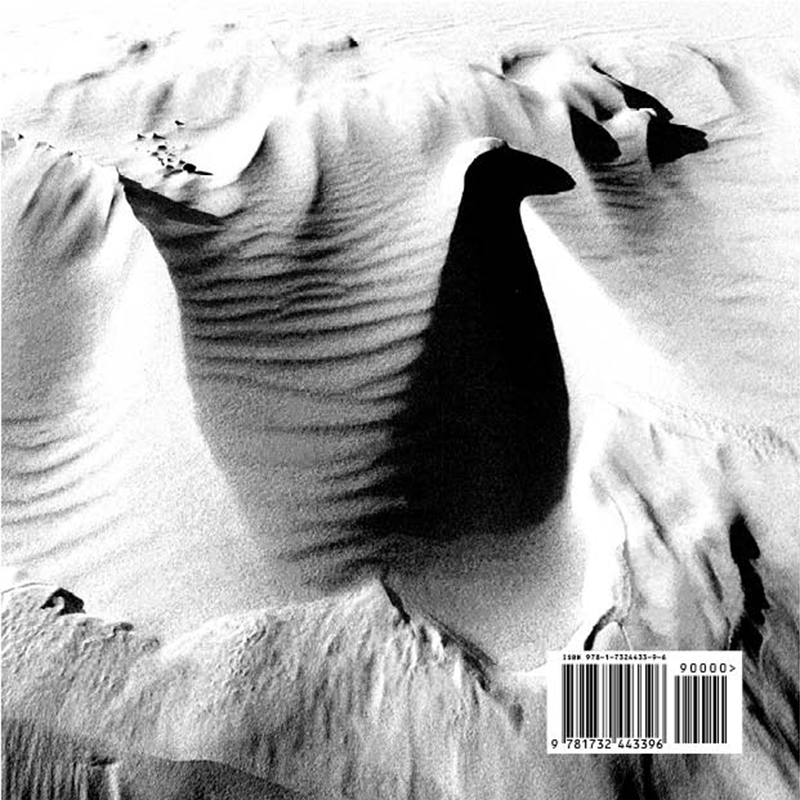 Still Motion front cover