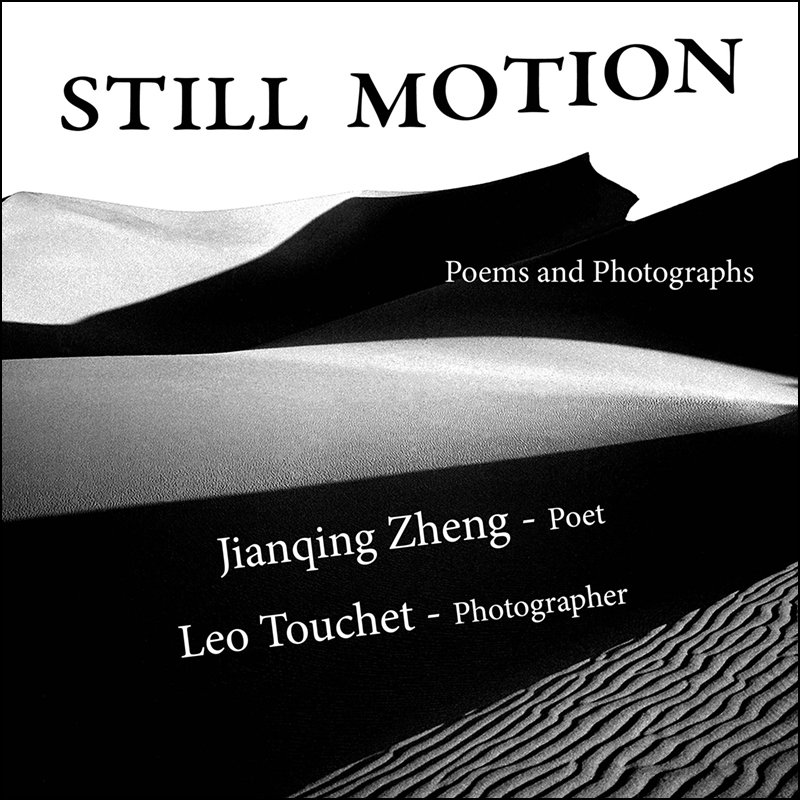 Still Motion front cover